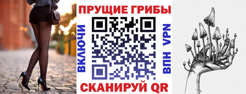 гидра зеркало  купить наркотики сайты  Анжеро-Судженск  Галлюциногенные грибы Cubensis 